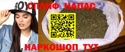 тгк Можга