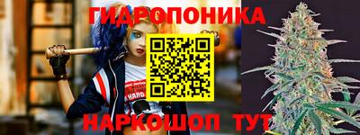 тгк Можга