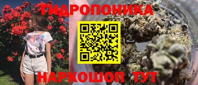 тгк Можга